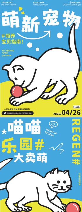 0420 猫咪向前冲