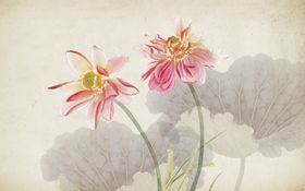 工笔花鸟背景墙装饰画