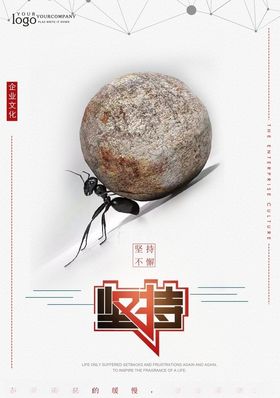 蚂蚁坚持