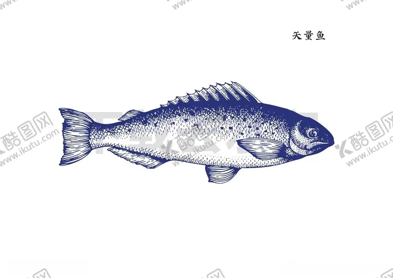 编号：43123402120159368603【酷图网】源文件下载-矢量鱼