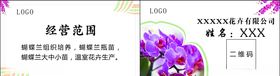 花卉蝴蝶兰名片
