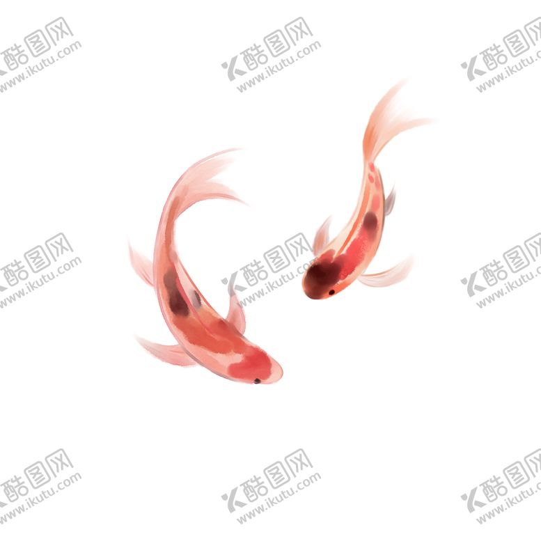 编号：26789410071657025123【酷图网】源文件下载-锦鲤