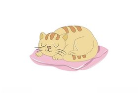 慵懒小猫