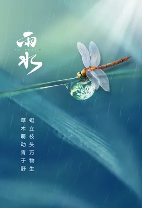 雨水海报
