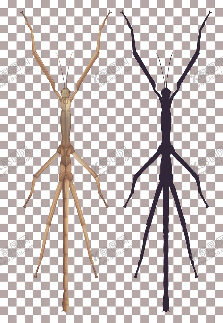 编号：41334106191641582422【酷图网】源文件下载-卡通昆虫