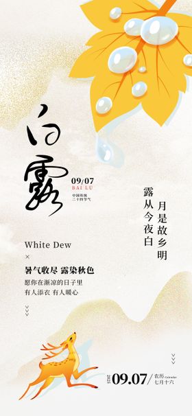 简约深色露水树叶白露海报 