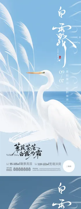插画风白露二十四节气海报