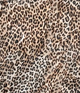 豹纹图案纹理背景