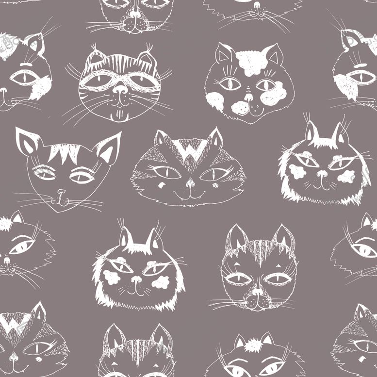 编号：94583909272011518541【酷图网】源文件下载-猫头狐狸头