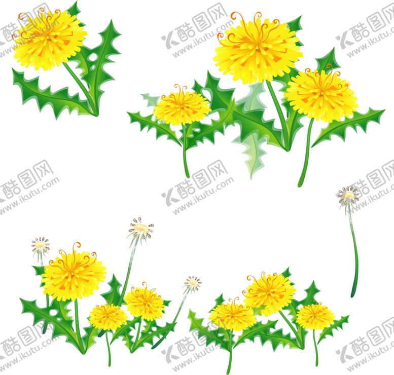 编号：30467706260044288463【酷图网】源文件下载-蒲公英