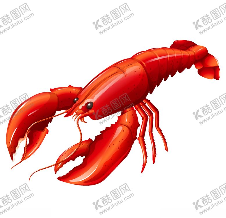 编号：82640309120511271193【酷图网】源文件下载-龙虾