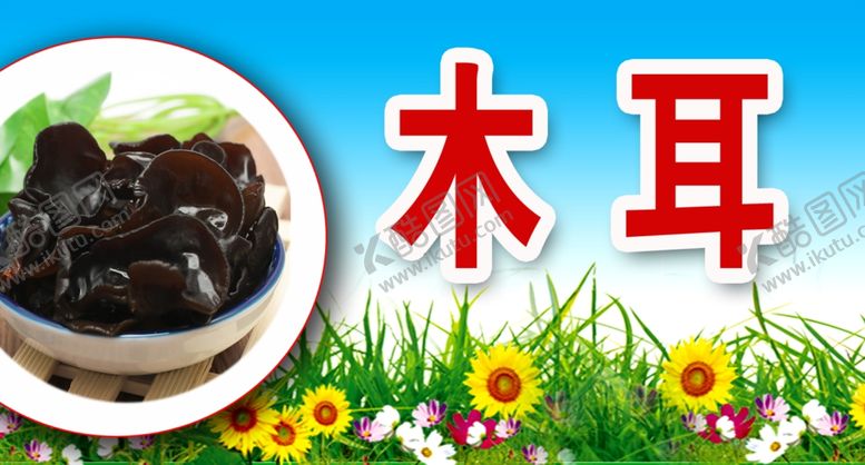 编号：48787710050922557478【酷图网】源文件下载-木耳