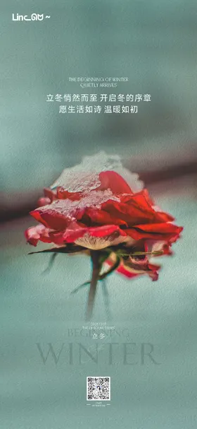 立冬结冰花朵海报