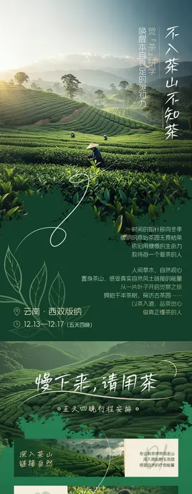 茶旅长图