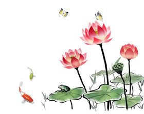 中国风荷叶荷花绘画