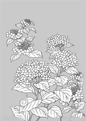 日本线描植物花卉矢量素材