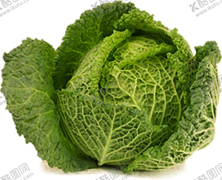 编号：34541710070930492258【酷图网】源文件下载-绿色植物