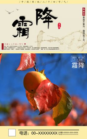 霜降广告设计海报柿子