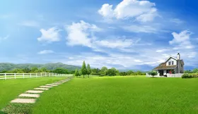 蓝天草地