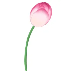 荷花素材叶国潮手绘古风