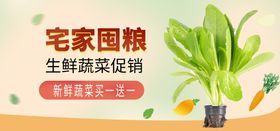 蔬菜生鲜banner 