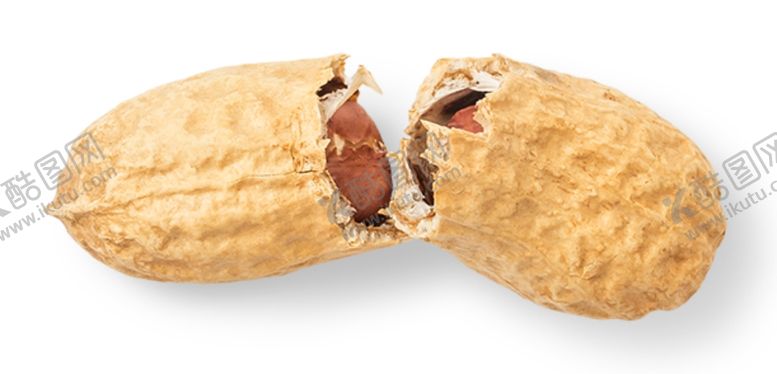 编号：78271309292347562728【酷图网】源文件下载-花生