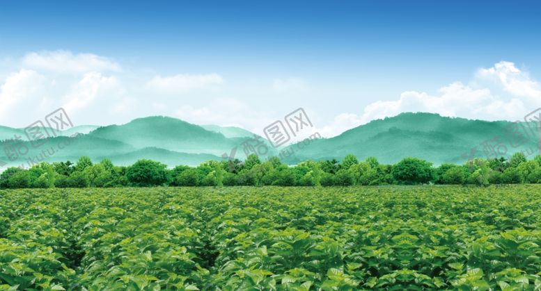 编号：58373705041351228043【酷图网】源文件下载-桑园
