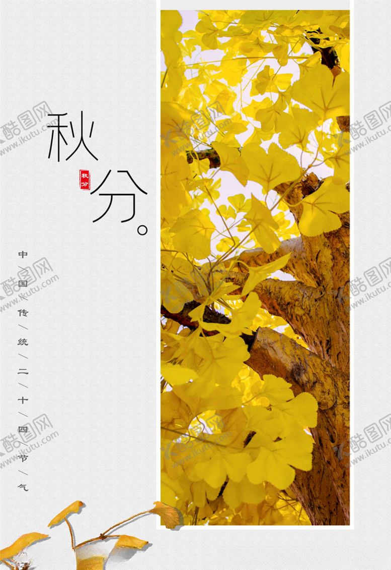 编号：52141305090107267110【酷图网】源文件下载-秋分海报
