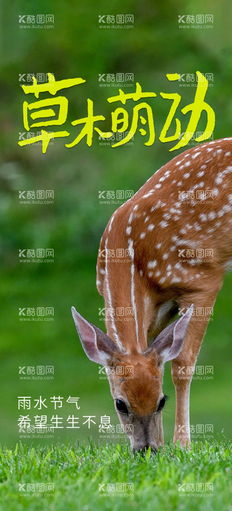 编号：37296009160837364920【酷图网】源文件下载-雨水海报春天绿色背景