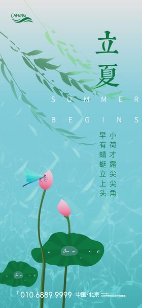 荷花蜻蜓立夏节气海报