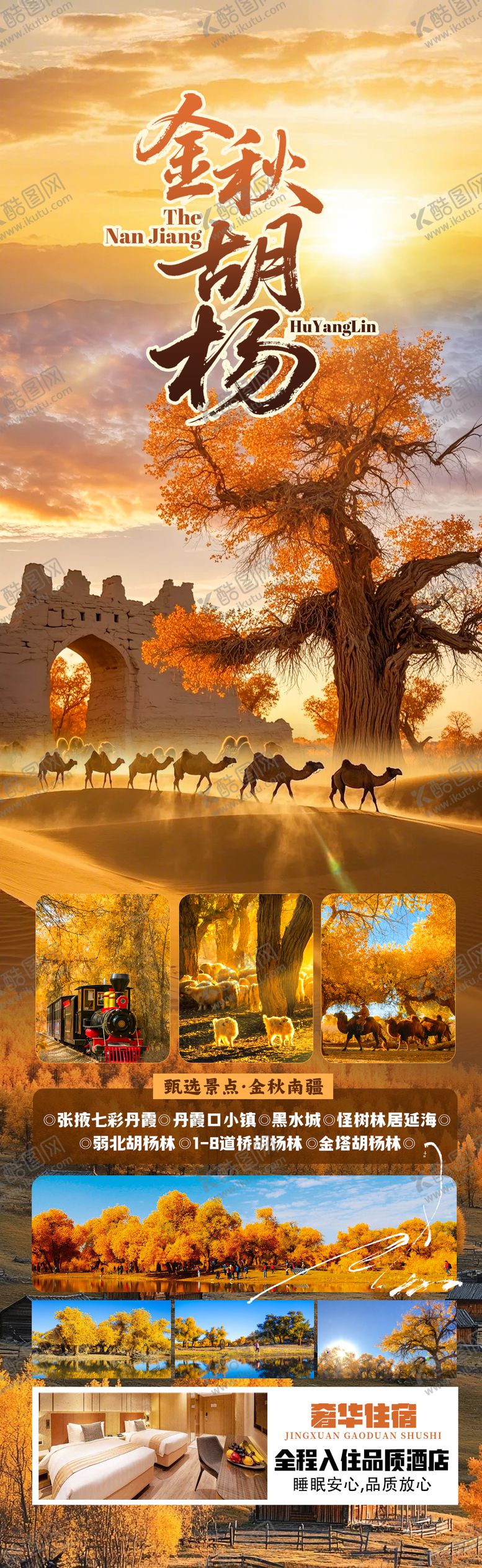 编号：15542709080556503156【酷图网】源文件下载-金秋胡杨