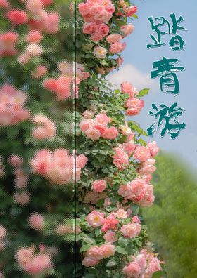 油菜花踏青游主题海报