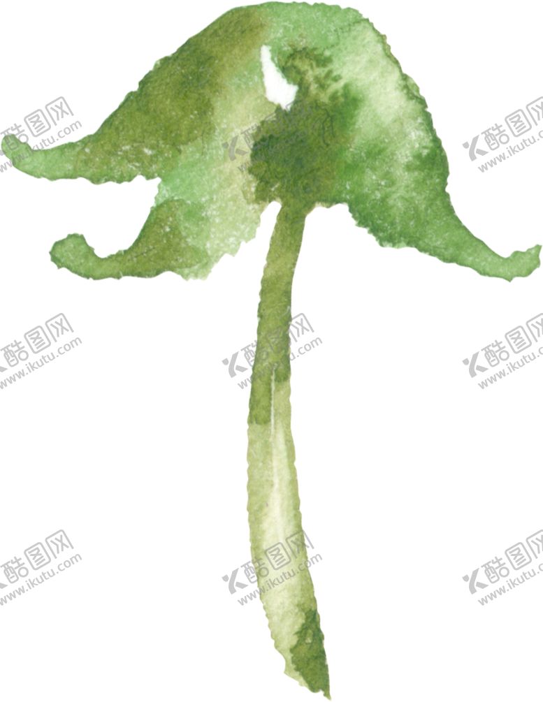 编号：19130605060423073765【酷图网】源文件下载-水彩手绘花卉花朵植物