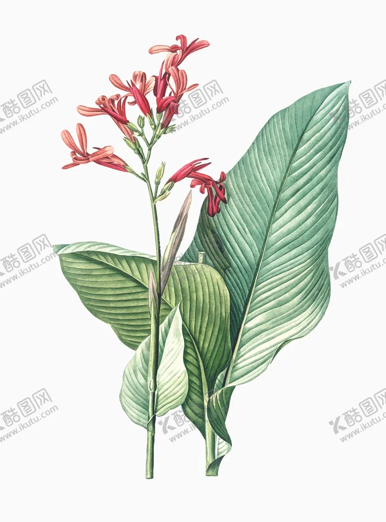 编号：21822807091509235660【酷图网】源文件下载-花纹