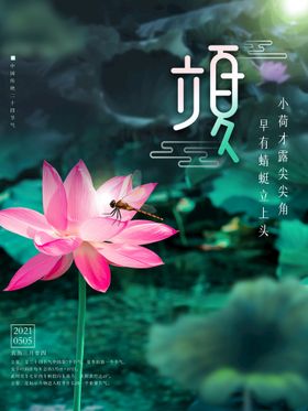 立夏至蝉酒吧海报