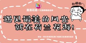 大丰荷兰花海拍照手举牌