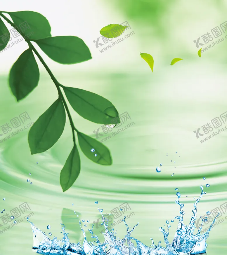 编号：03765409270805077108【酷图网】源文件下载-树叶水滴背景
