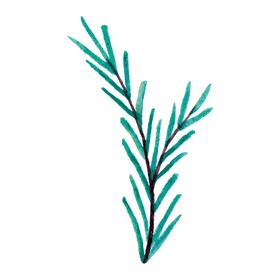 手绘草叶