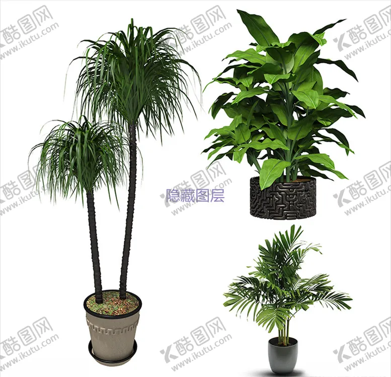 编号：42854104060001135980【酷图网】源文件下载-盆栽植物