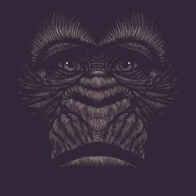 创意手绘猩猩头像印花图案插画