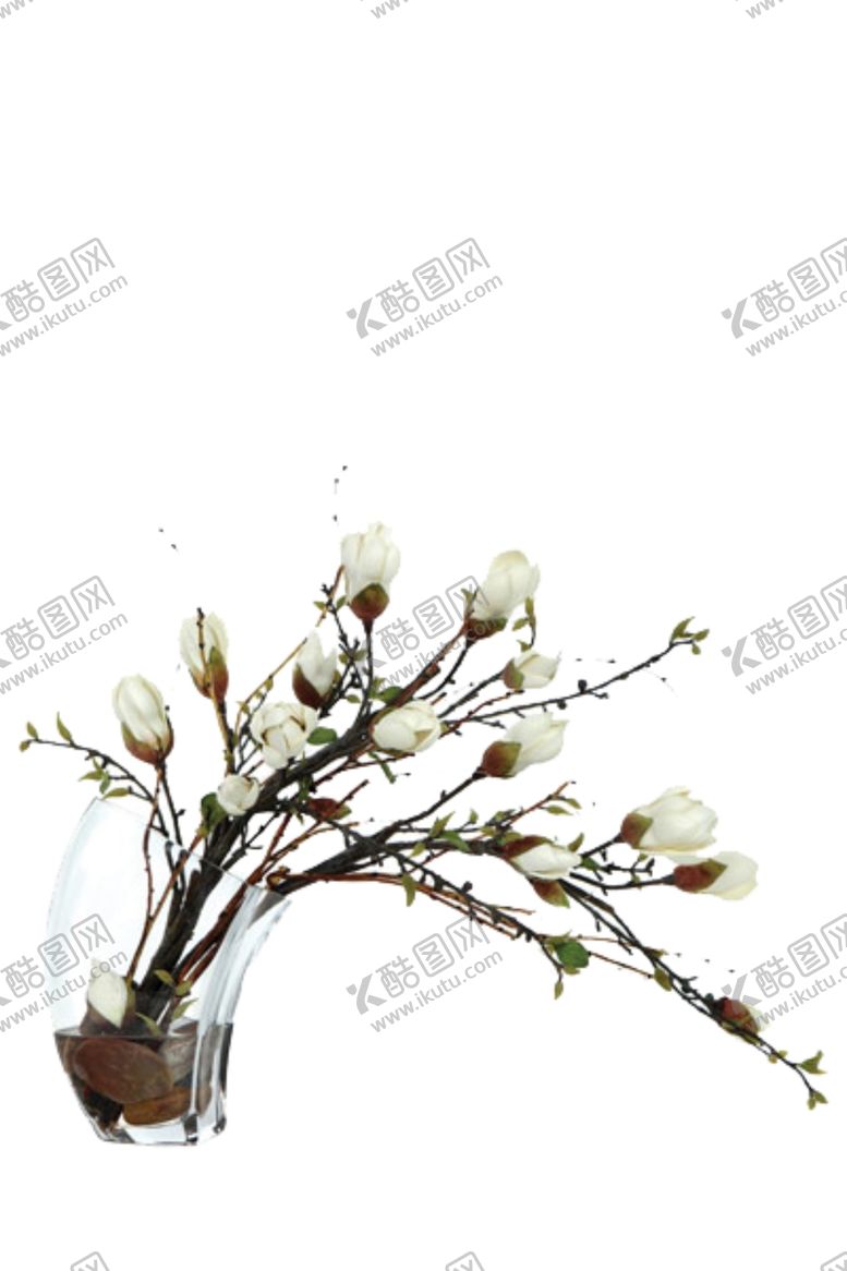 编号：38392206241955429212【酷图网】源文件下载-免抠背景花草树木