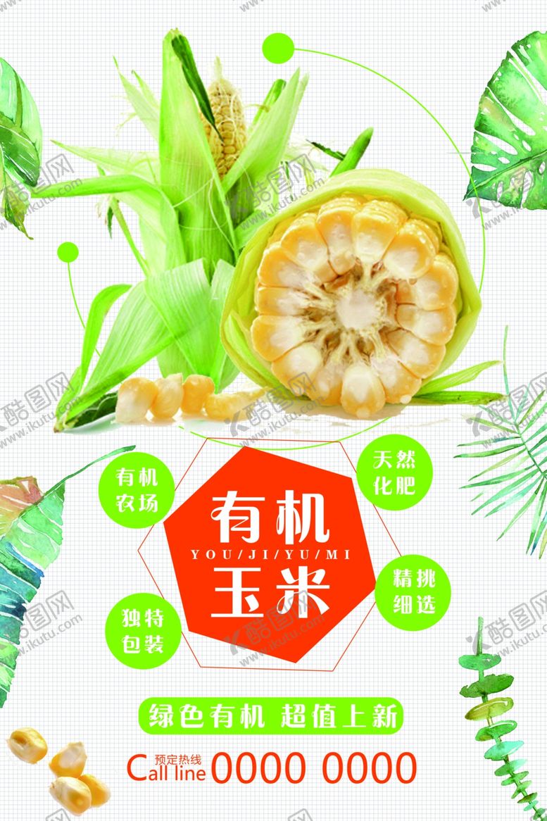 编号：41741606262220282942【酷图网】源文件下载-有机玉米宣传海报