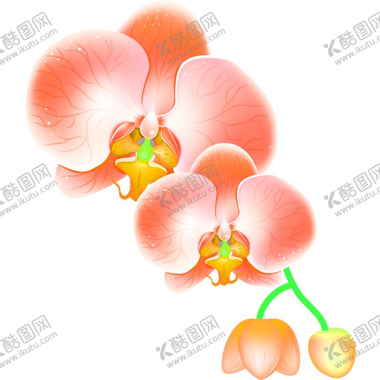 编号：42954706180325498709【酷图网】源文件下载-花素材