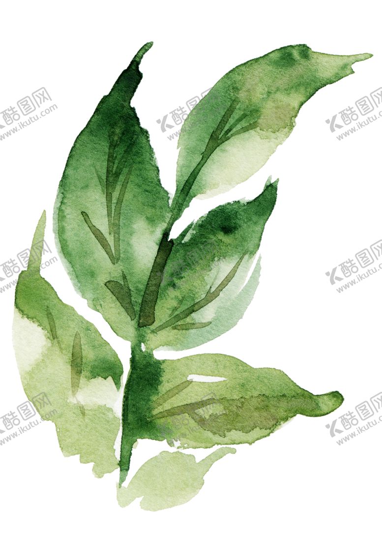 编号：59915909192320164542【酷图网】源文件下载-绿色装饰