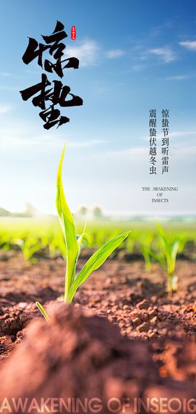 二十四节气春分创意海报