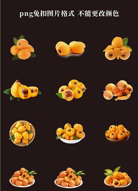 枇杷素材