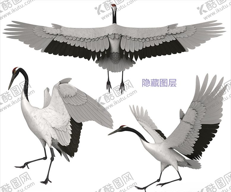编号：70414710151456296408【酷图网】源文件下载-3D仙鹤