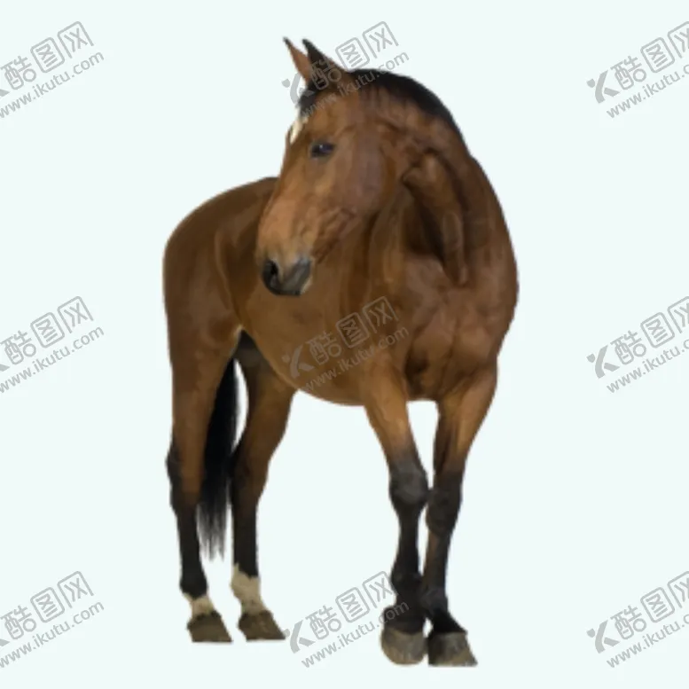 编号：70229202060107102107【酷图网】源文件下载-骏马