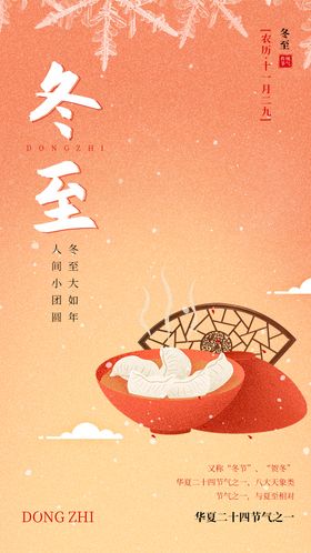 冬至海报饺子房地产插画二十四节气