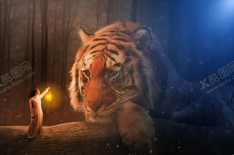 编号：25237011011134337898【酷图网】源文件下载-大猫